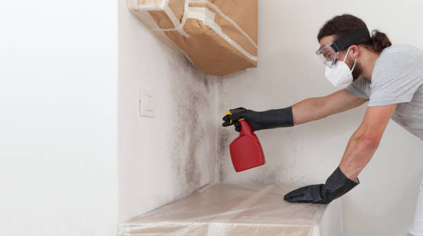 Professional Mold Remediation technician working in Plano, KY